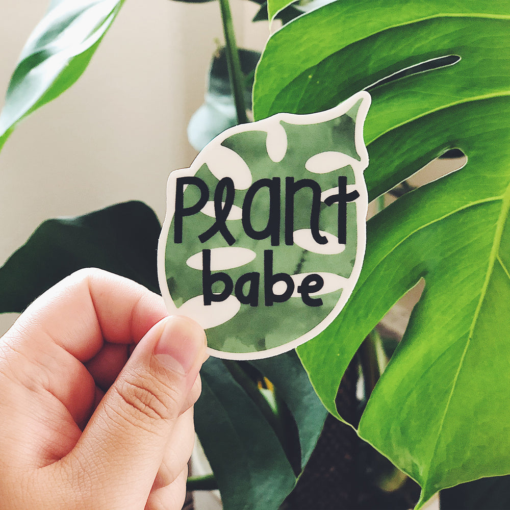 hand holding a 'Plant Babe' sticker in front of a large green leaf. the sticker has a monstera leaf in the background. 