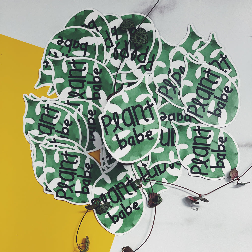 Green leaf-shaped stickers with 'plant babe' text on a yellow and white background