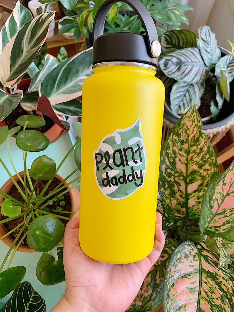 Yellow water bottle with 'Plant daddy' label held in front of plants